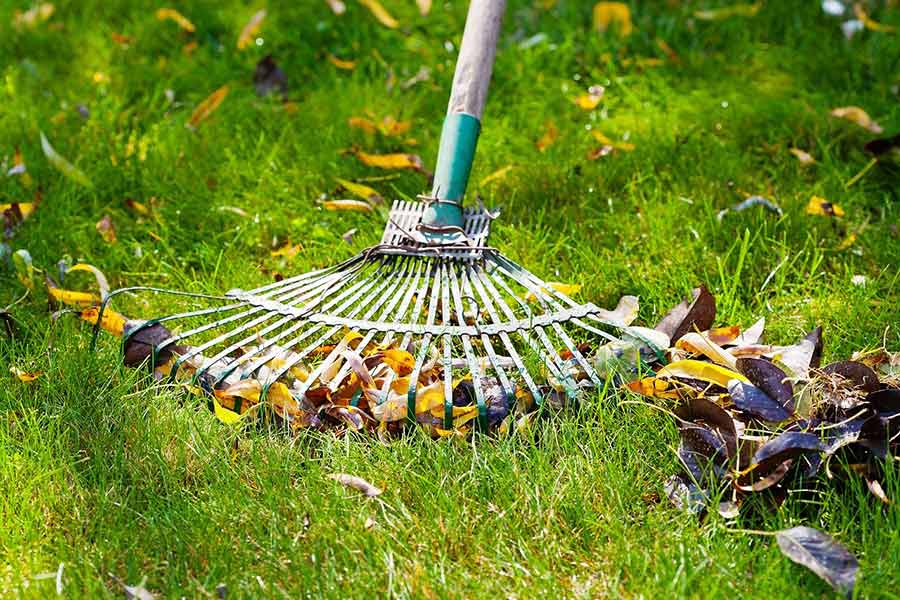 Services à la personne petits travaux de jardinage avec Vendée Eco Paysage